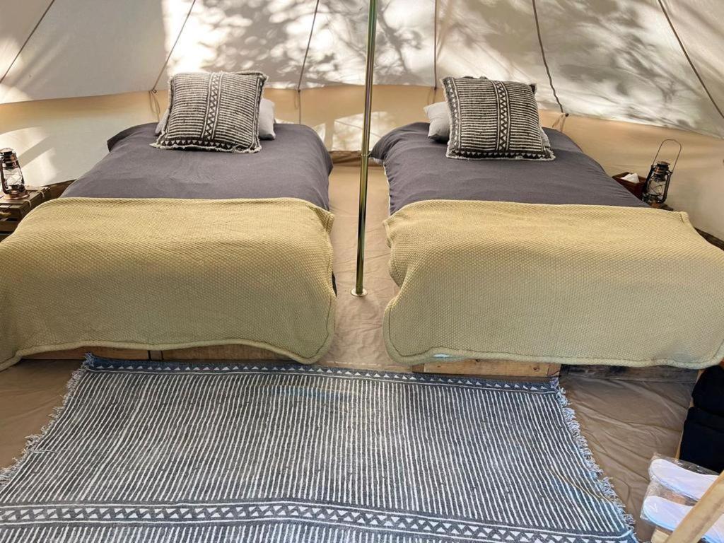 Hotel Oxu Solo Adultos 巴耶德布拉沃 外观 照片