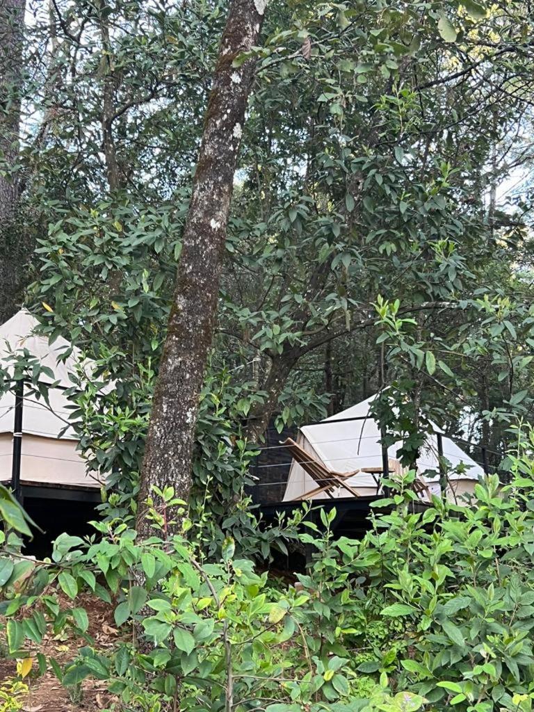 Hotel Oxu Solo Adultos 巴耶德布拉沃 外观 照片